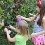 Homemade Bird Feeders